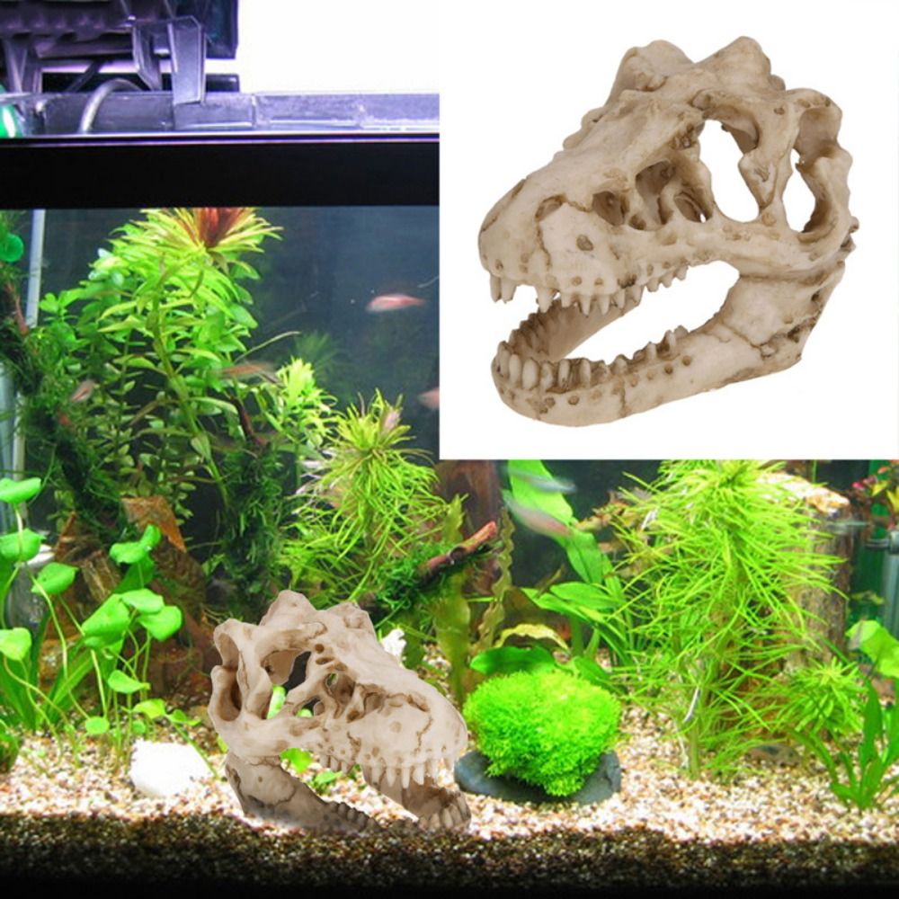 Aquarium Fish Hide - Creative Simulation Dinosaur Skull Escape House