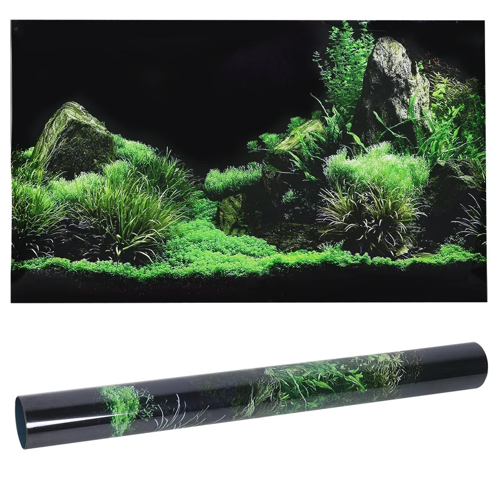 Aquarium Fish Cichlid - Background for Aquarium 3d Sticker Poster
