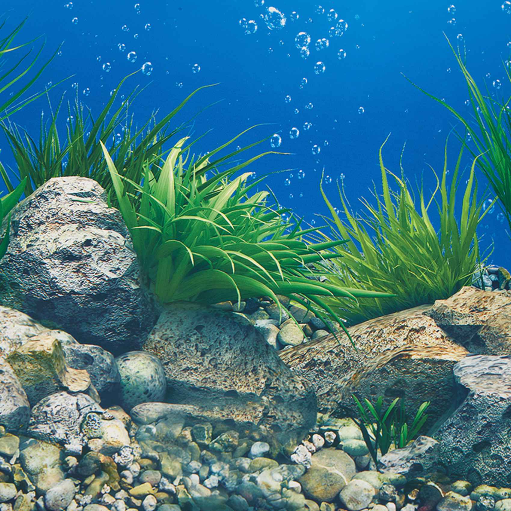 Aquarium Fish Wallpaper Hd - AB33-Aquarium Background Paper HD Picture 7D