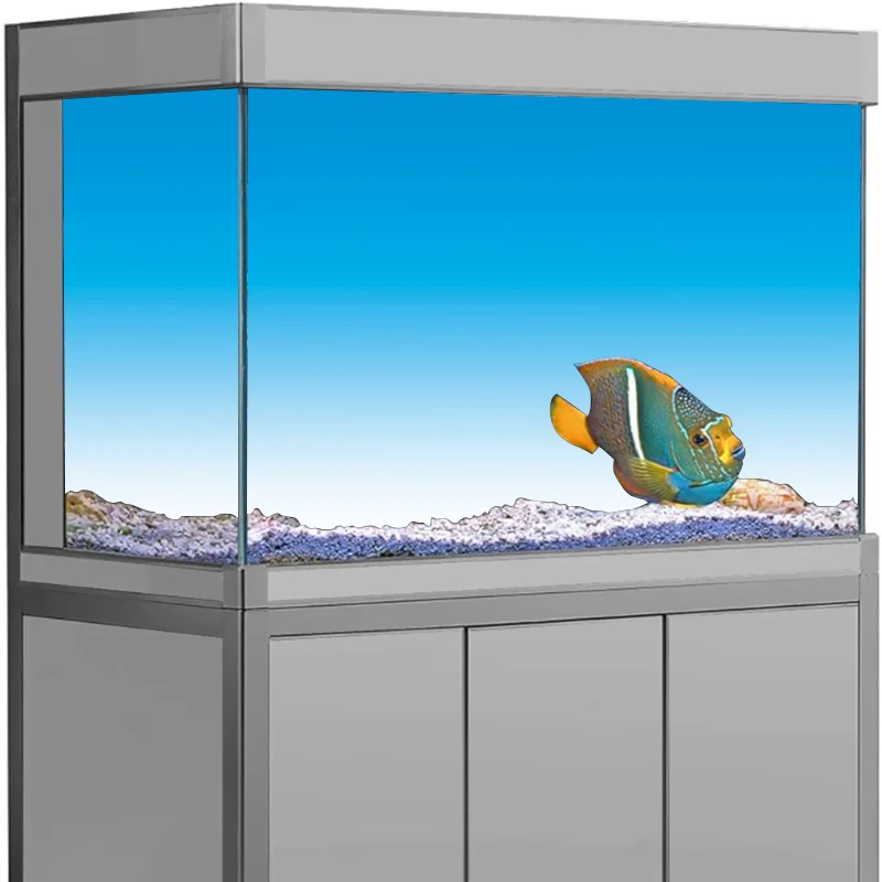 Aquarium Fish Wallpaper Hd - Aquarium Background Sticker, Blue Transition HD
