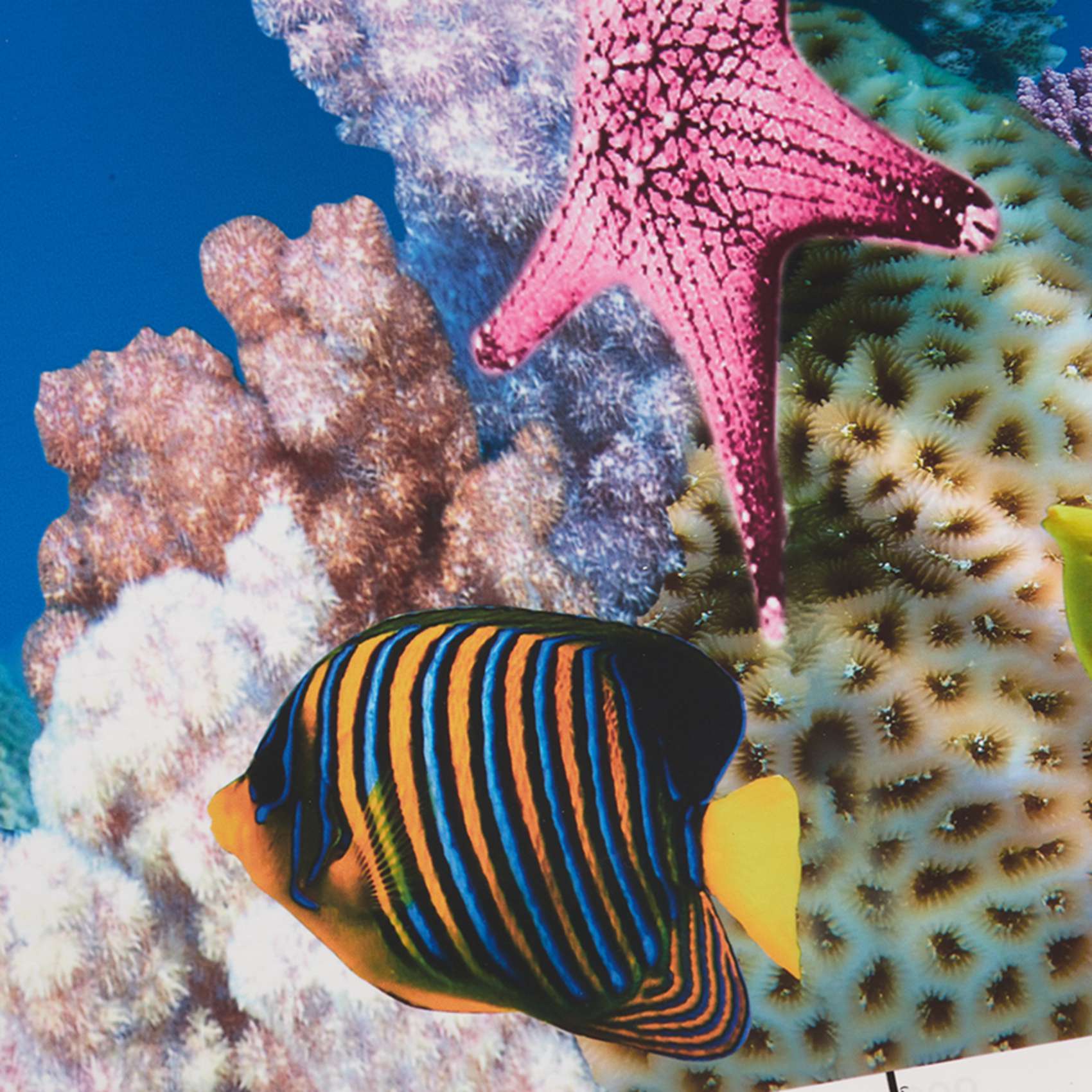 Aquarium Fish Wallpaper Hd - ABWR-Aquarium Background Paper HD Picture 7D