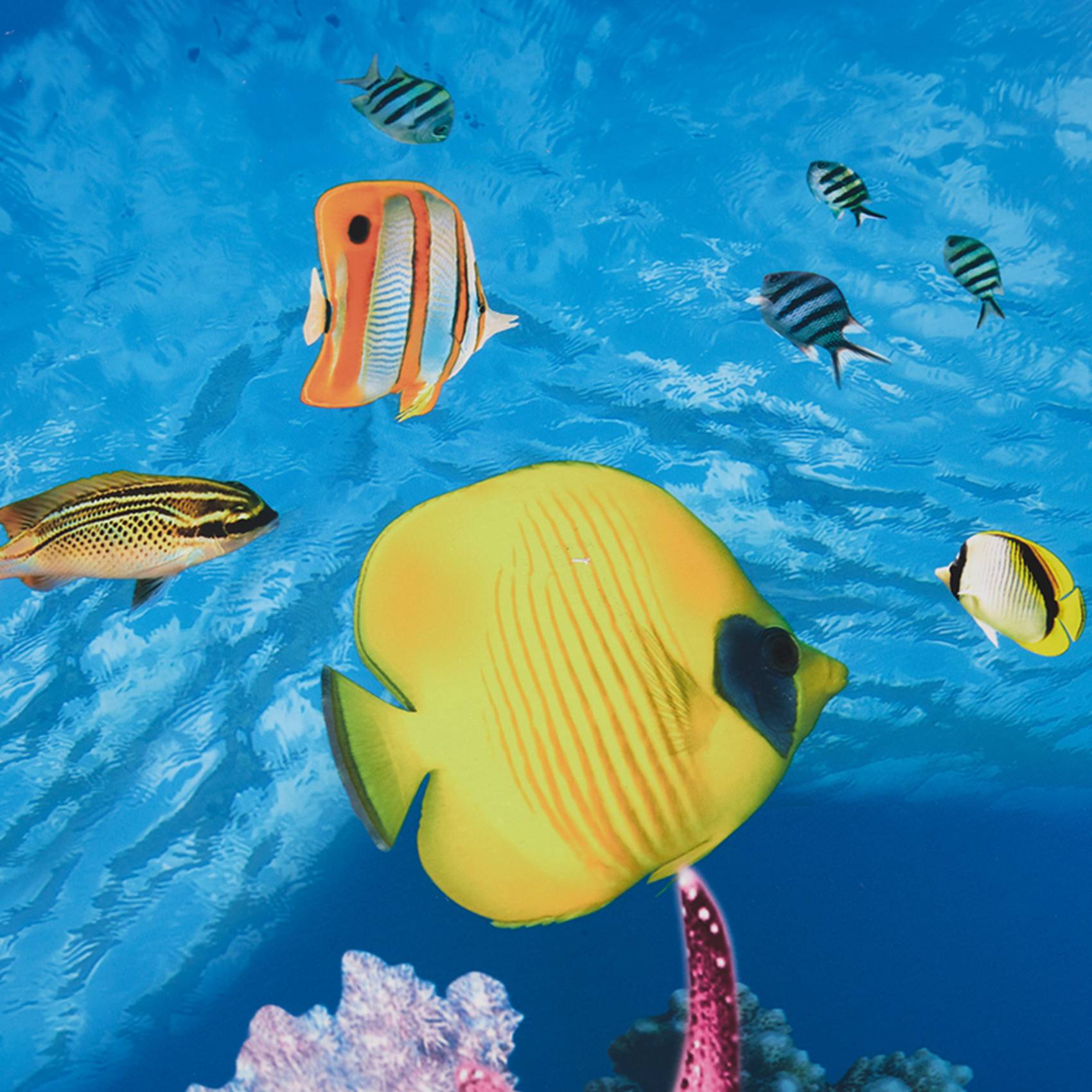 Aquarium Fish Wallpaper Hd - BAAU Aquarium Background Paper HD Picture