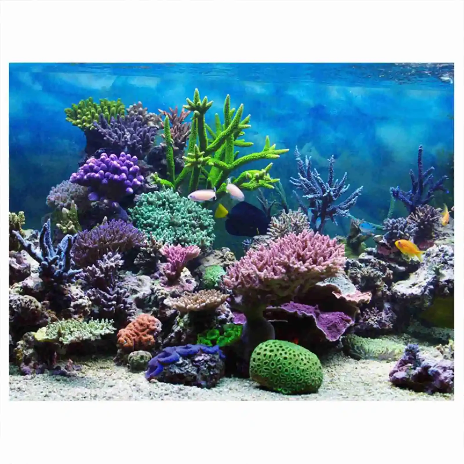 Aquarium Fish Wallpaper Hd - 3D Aquarium Landscape Poster Rainforest Wallpaper