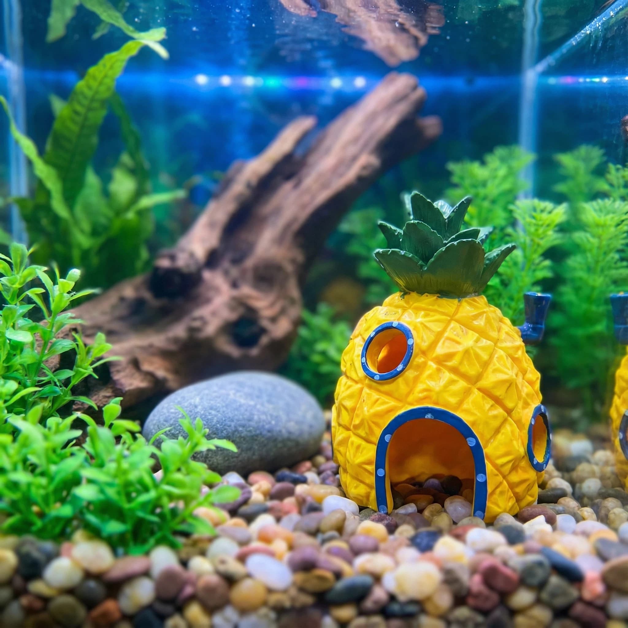 Aquarium Fish Hide - Pineapple House Aquarium Decor， Eco-Friendly Resin