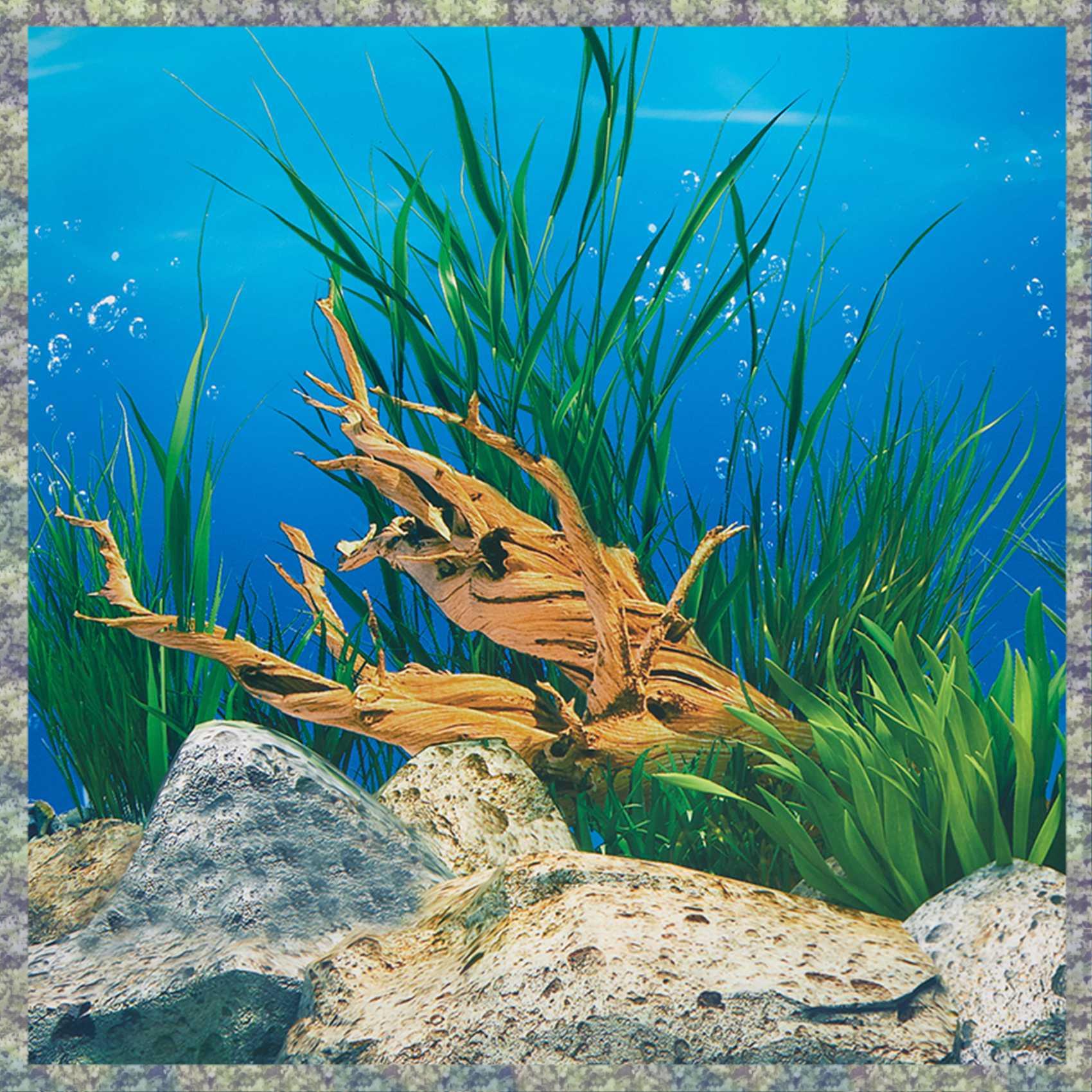 Aquarium Fish Wallpaper Hd - WON Aquarium Background Paper HD Picture