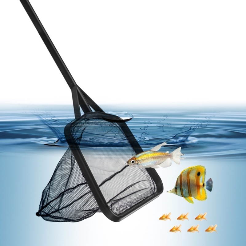 Multiple Length Handle Fishing - Fish Net Handle review and price