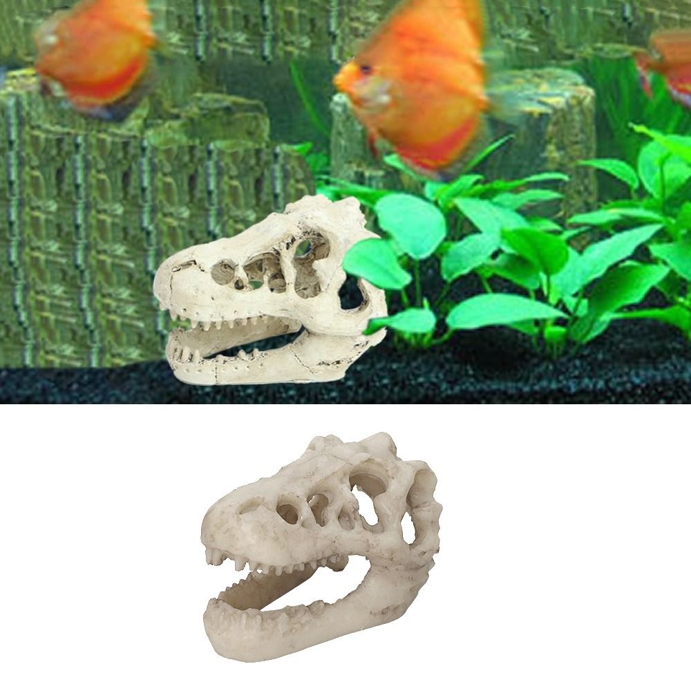 Creative Simulation Dinosaur S - Aquarium Fish Hide review and price