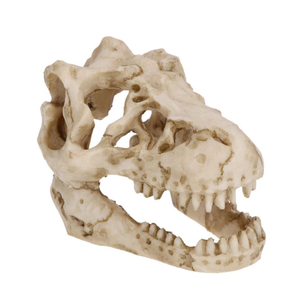 Creative Simulation Dinosaur S - Aquarium Fish Hide review and price
