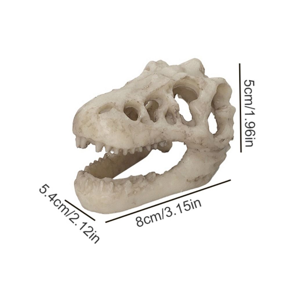Creative Simulation Dinosaur S - Aquarium Fish Hide review and price