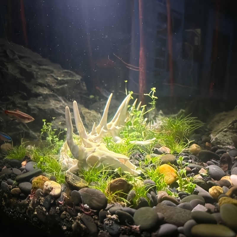 1pc Dragon-Shaped Fishbone Dec - Aquarium Fish Hide review and price