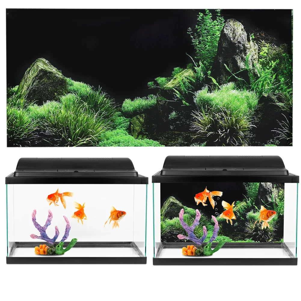 Background for Aquarium 3d Sti - Aquarium Fish Cichlid review and price