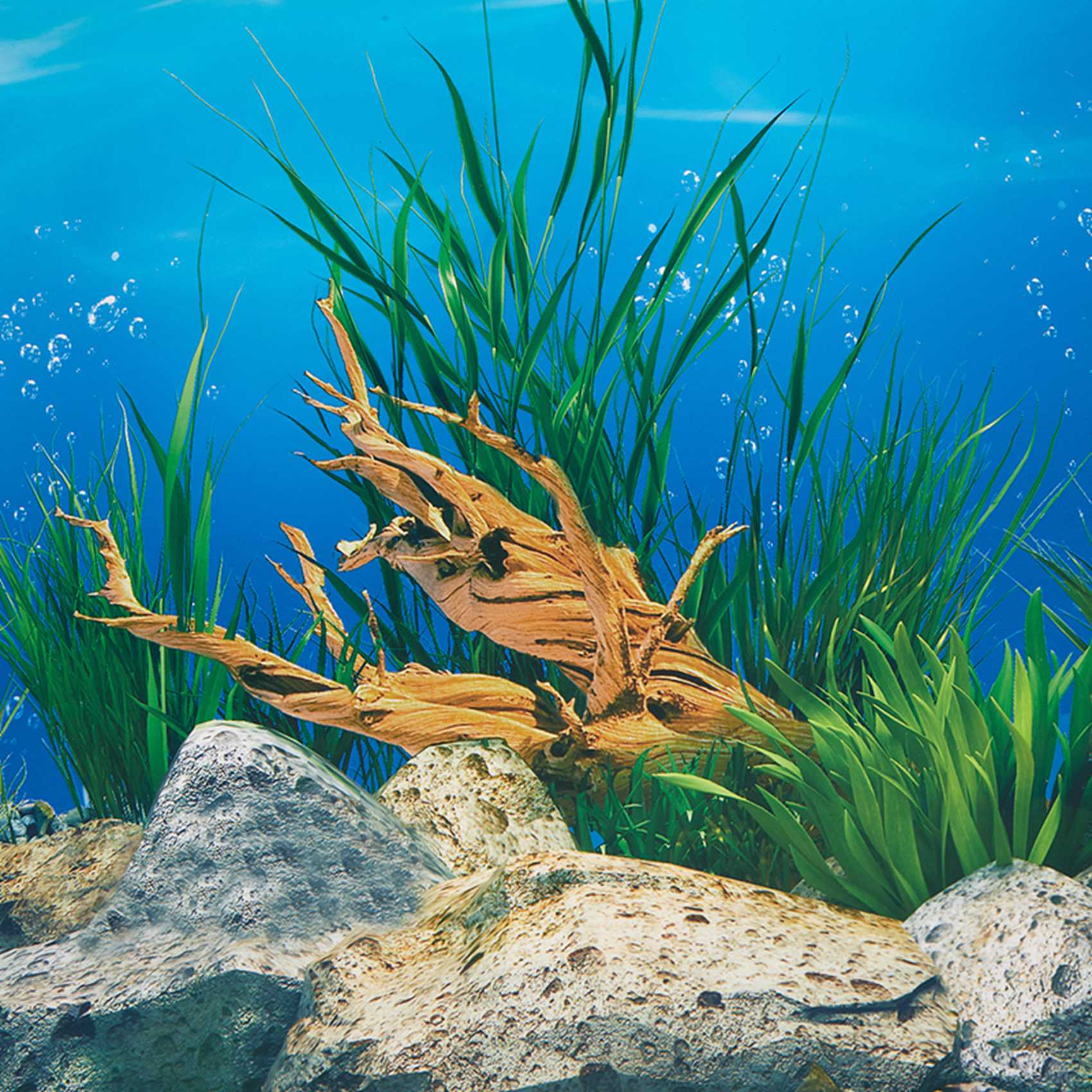 AB33-Aquarium Background Paper - Aquarium Fish Wallpaper Hd review and price