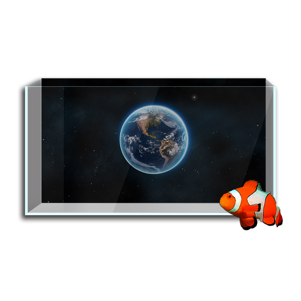 Aquarium Fish Tank  Background - Aquarium Fish Wallpaper Hd review and price