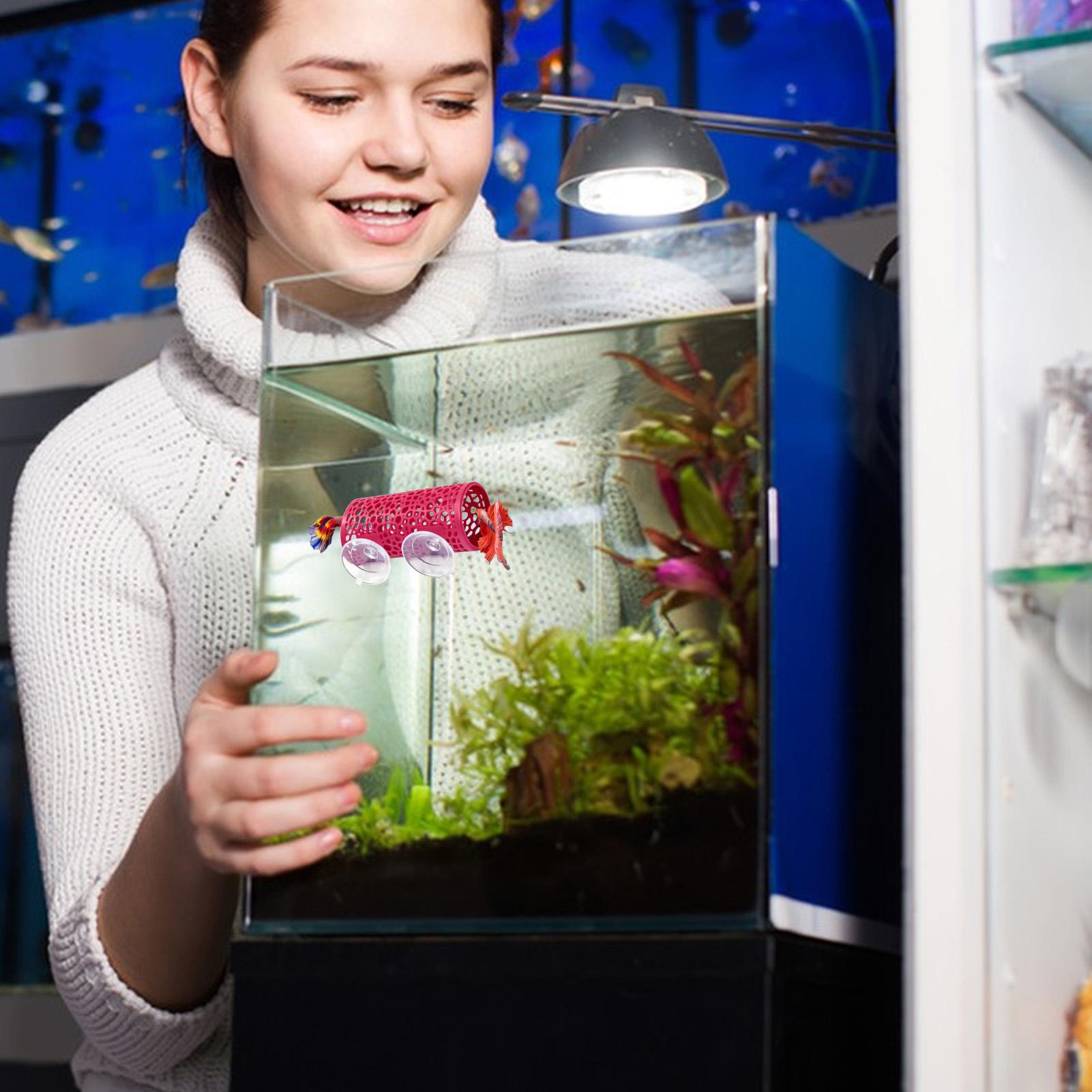 Betta Habitat Resting Shelter  - Aquarium Fish Cichlid review and price