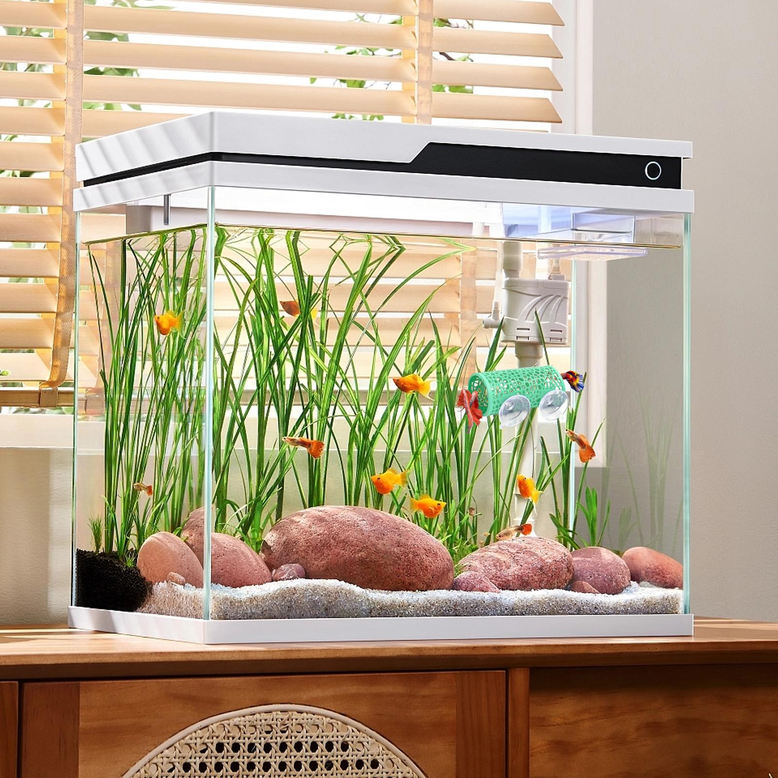 Betta Habitat Resting Shelter  - Aquarium Fish Cichlid review and price
