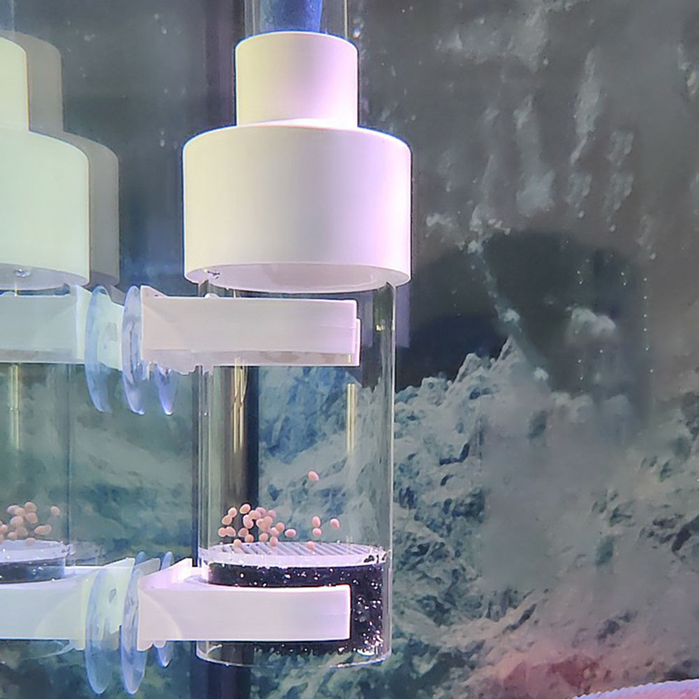 40mm Tumbler Incubator Fish Ha - Aquarium Fish Cichlid review and price