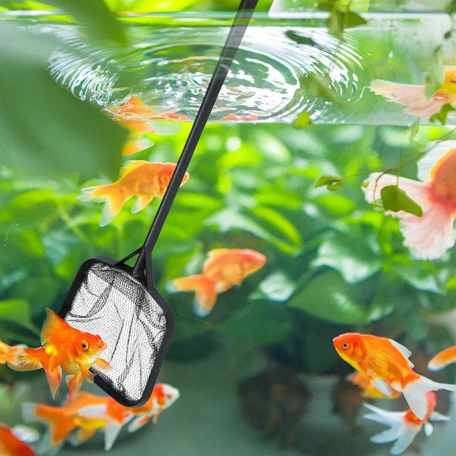 Pool Nets for Cleaning Portabl - Aquarium Fish Net review and price
