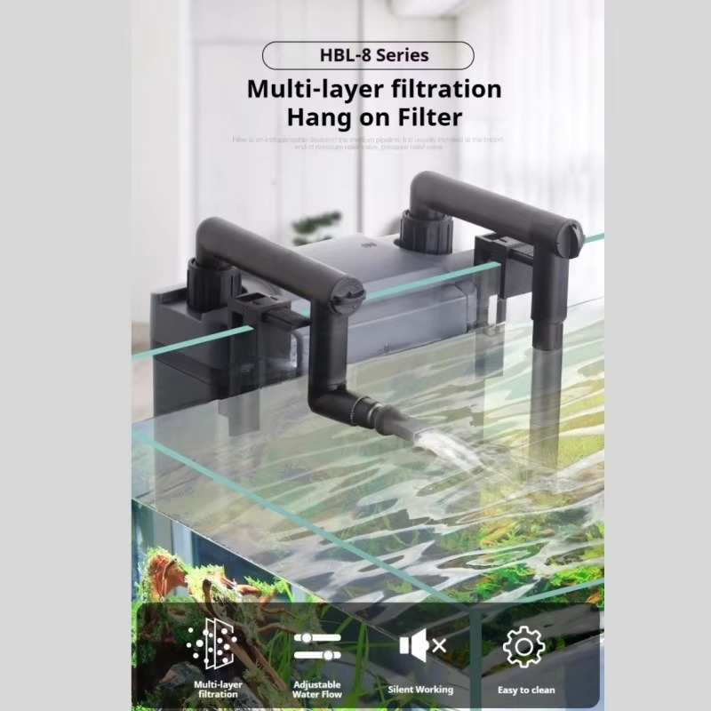 Hot Sale Professional Aquarium - Aquarium Fish For Sale review and price