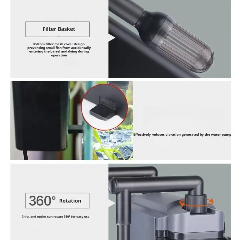 Hot Sale Professional Aquarium - Aquarium Fish For Sale review and price