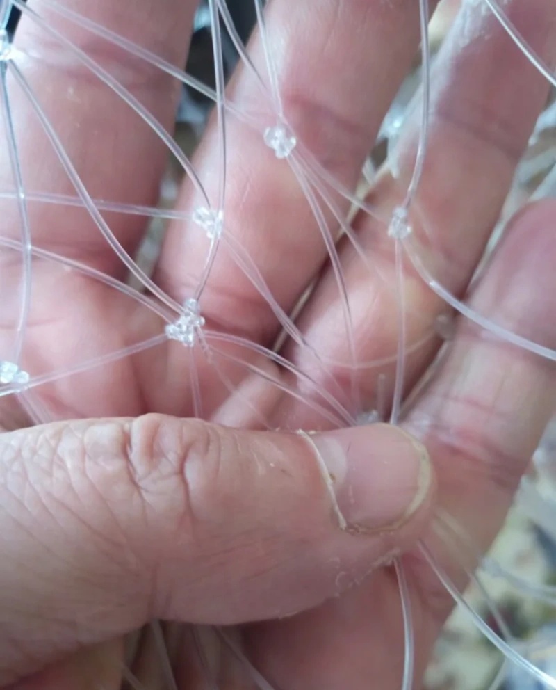53/60/85cm Double Line Fishing - Fish Net Handle review and price