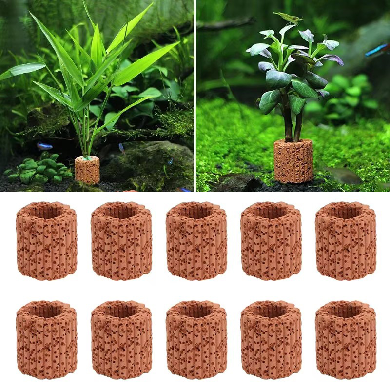 Aquatic Plant Fixed Ring for A - Aquarium Fish Cichlid review and price