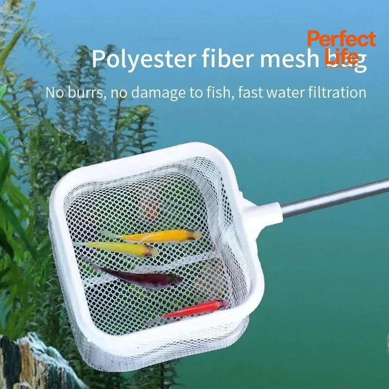 1、2Pcs Stainless Steel Fishing - Aquarium Fish Net review and price