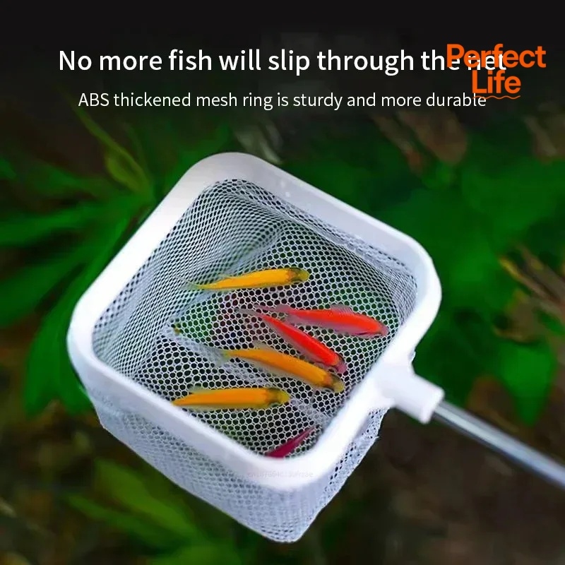1、2Pcs Stainless Steel Fishing - Aquarium Fish Net review and price