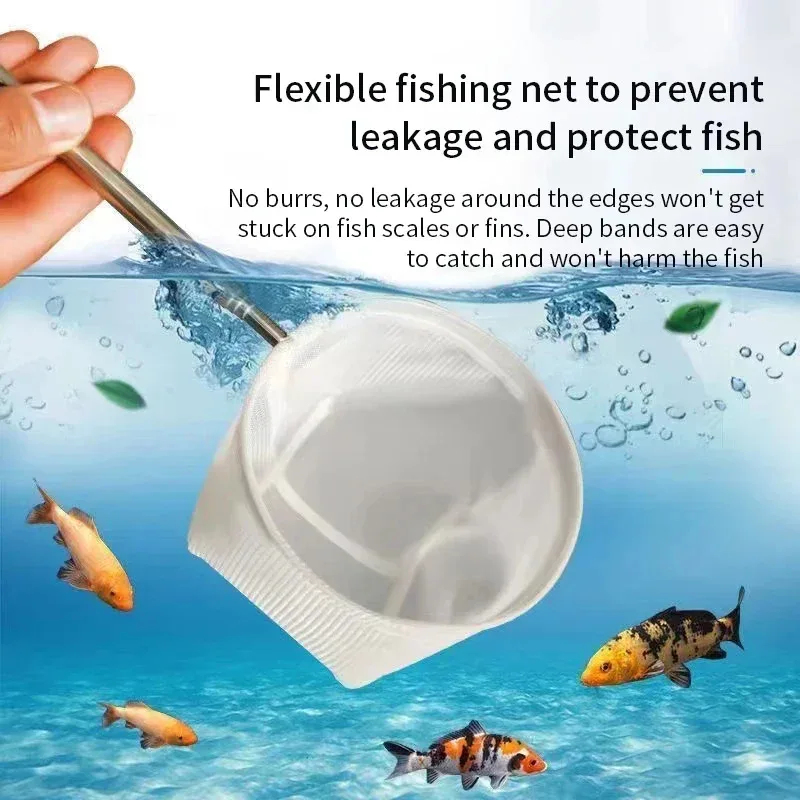 1、2Pcs Stainless Steel Fishing - Aquarium Fish Net review and price