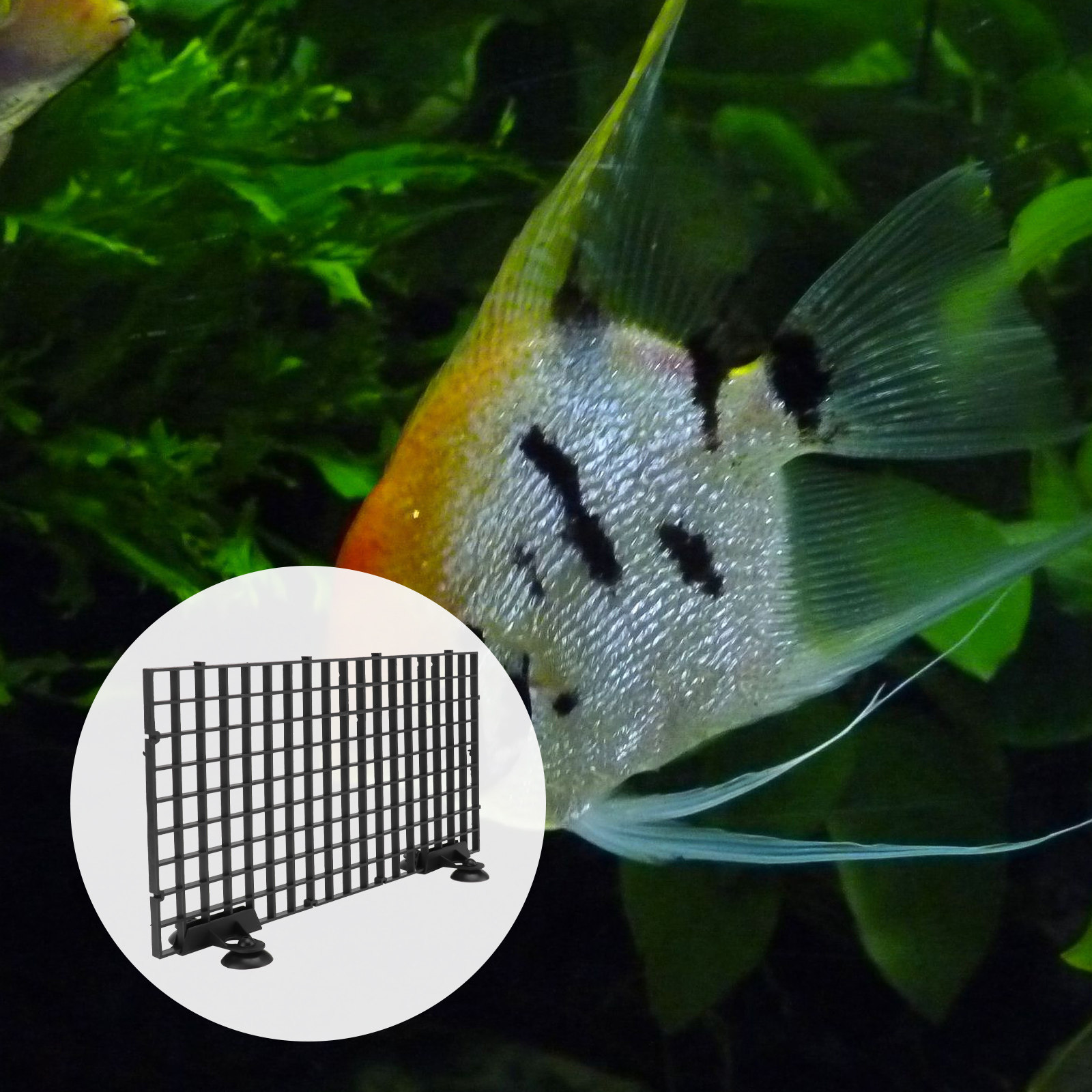 Fish Breeder Net Big Size Blac - Aquarium Fish Net Big Size review and price