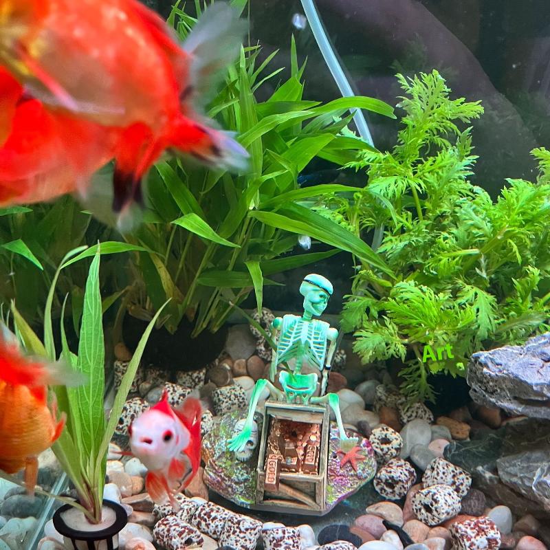 Fish Tank Aerobic Landscape Bu - Aquarium Fish Cichlid review and price