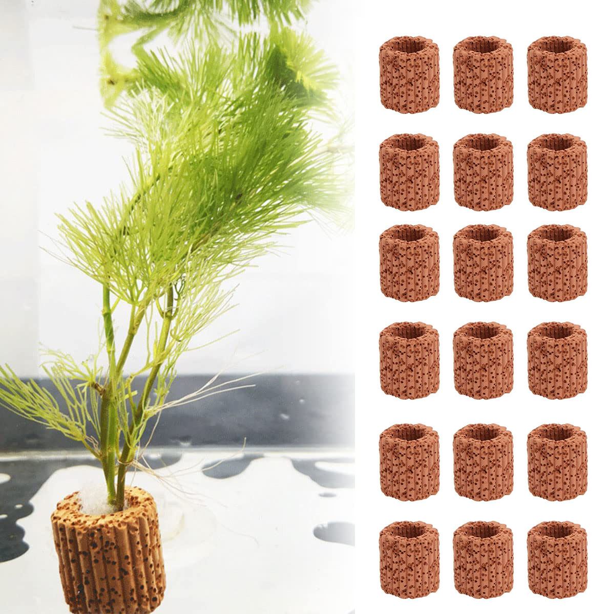 10/20Pcs Aquatic Water Plant F - Aquarium Fish Cichlid review and price