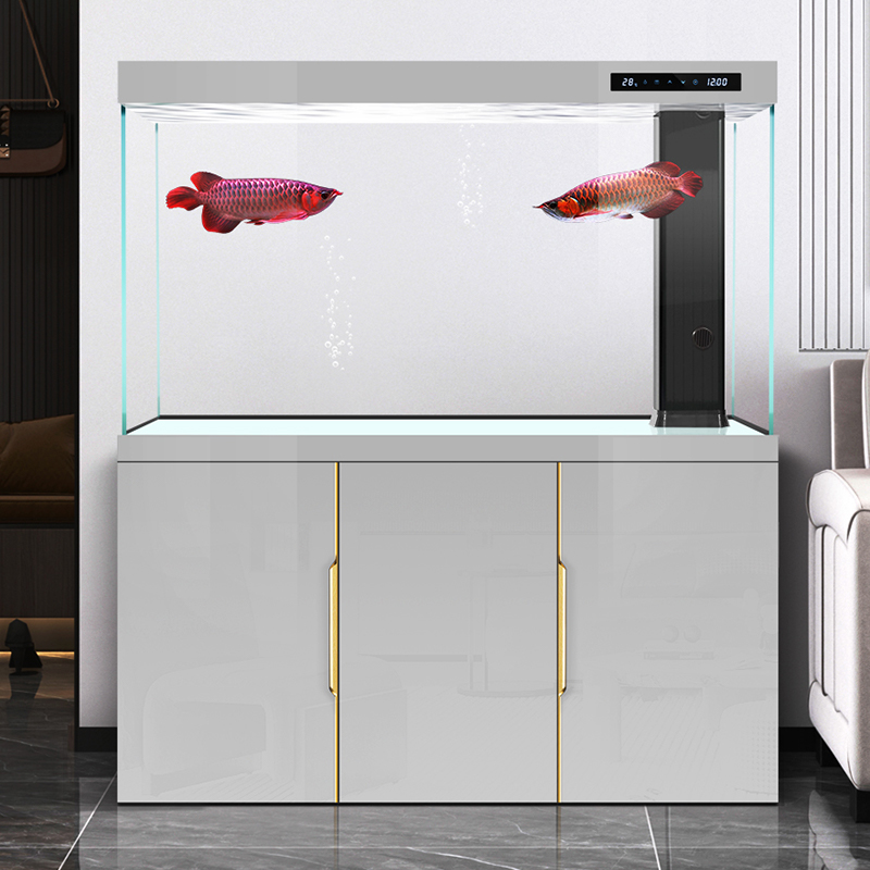 Fish tank living room 2025 new - Aquarium Fish Dragon review and price