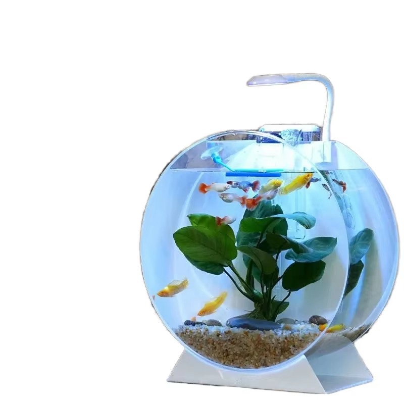 Hot Sale Modern Eco-Friendly A - Aquarium Fish For Sale review and price