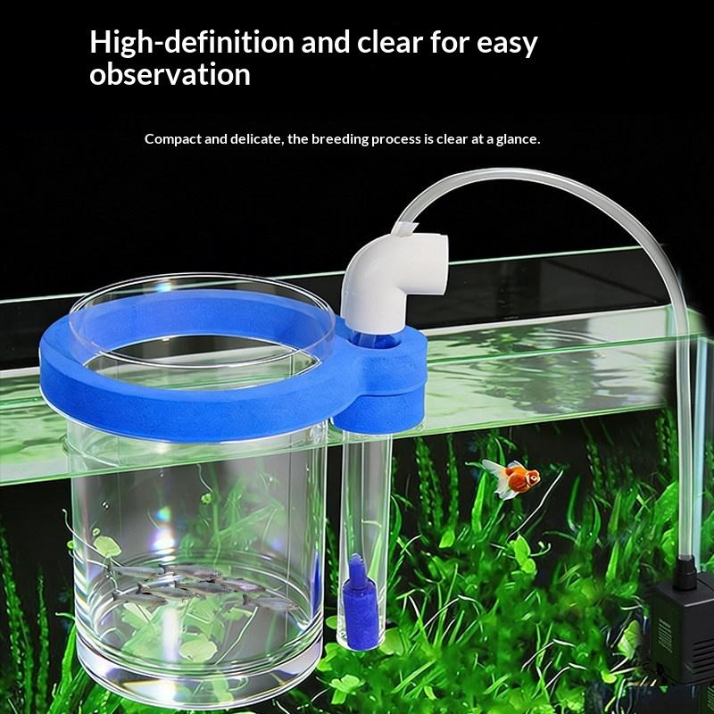 Transparent Acrylic Fish Breed - Aquarium Fish Jar review and price