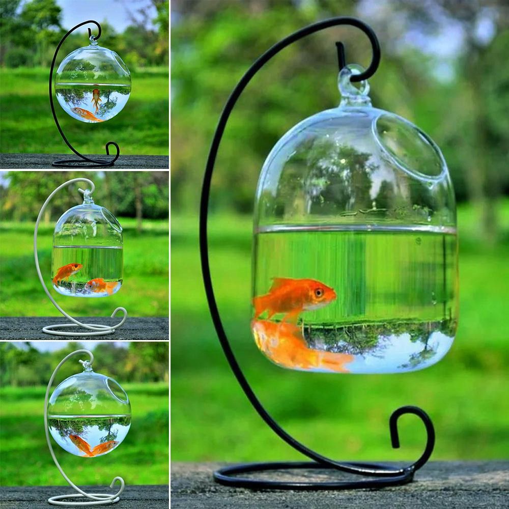 Aquarium Decoration Wall Hangi - Aquarium Fish Jar review and price