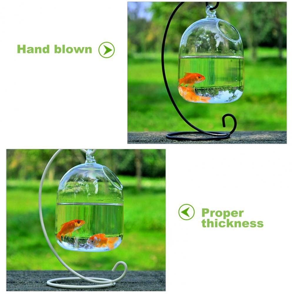 Aquarium Decoration Wall Hangi - Aquarium Fish Jar review and price