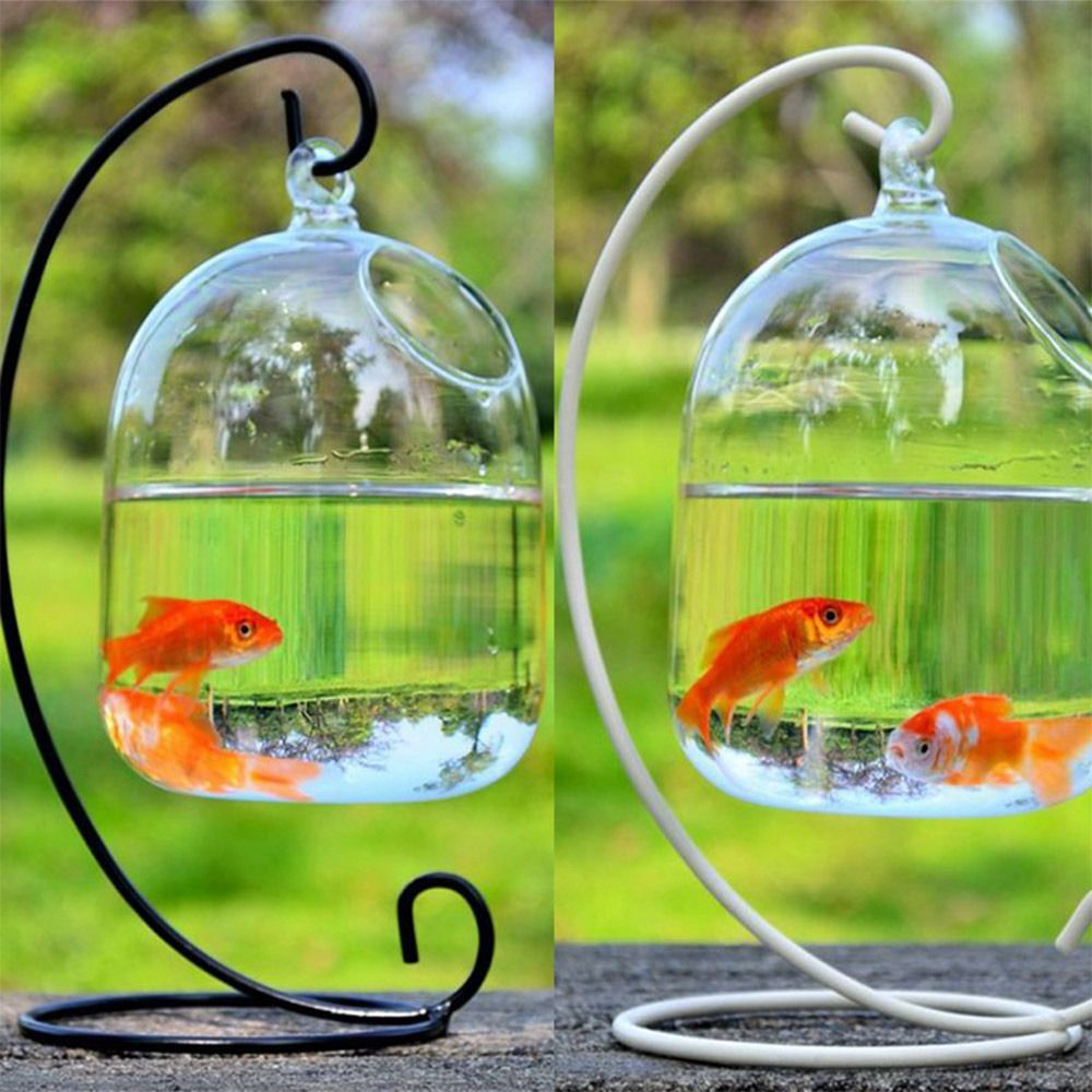 Aquarium Decoration Wall Hangi - Aquarium Fish Jar review and price