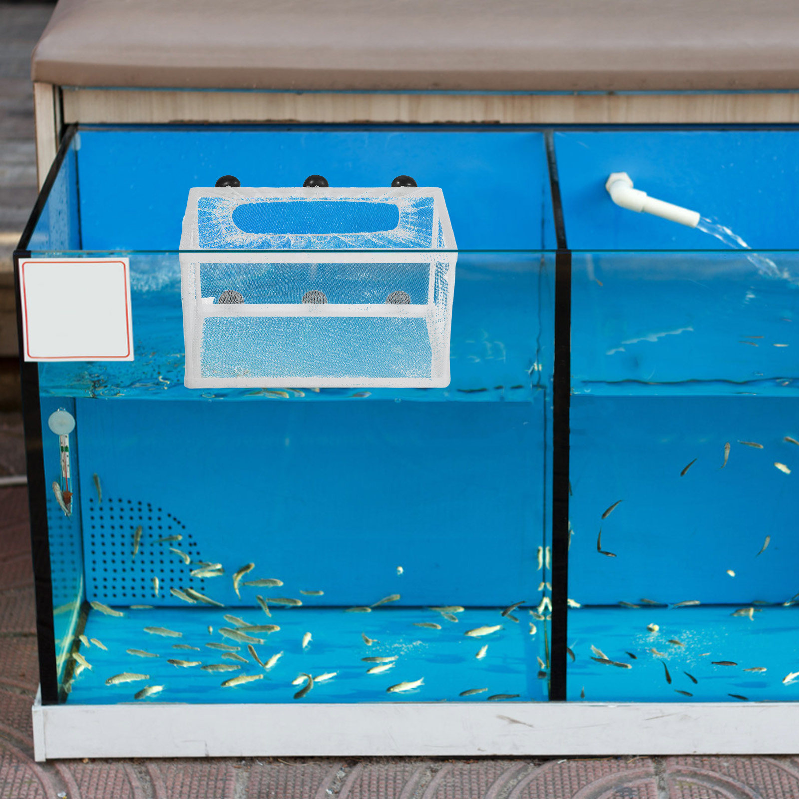 Fish Net Big Size Aquarium Hat - Aquarium Fish Net Big Size review and price