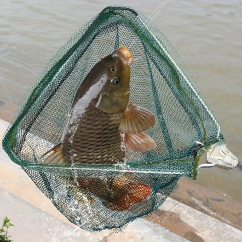 Foldable Triangle Fishing Land - Fish Net Handle review and price