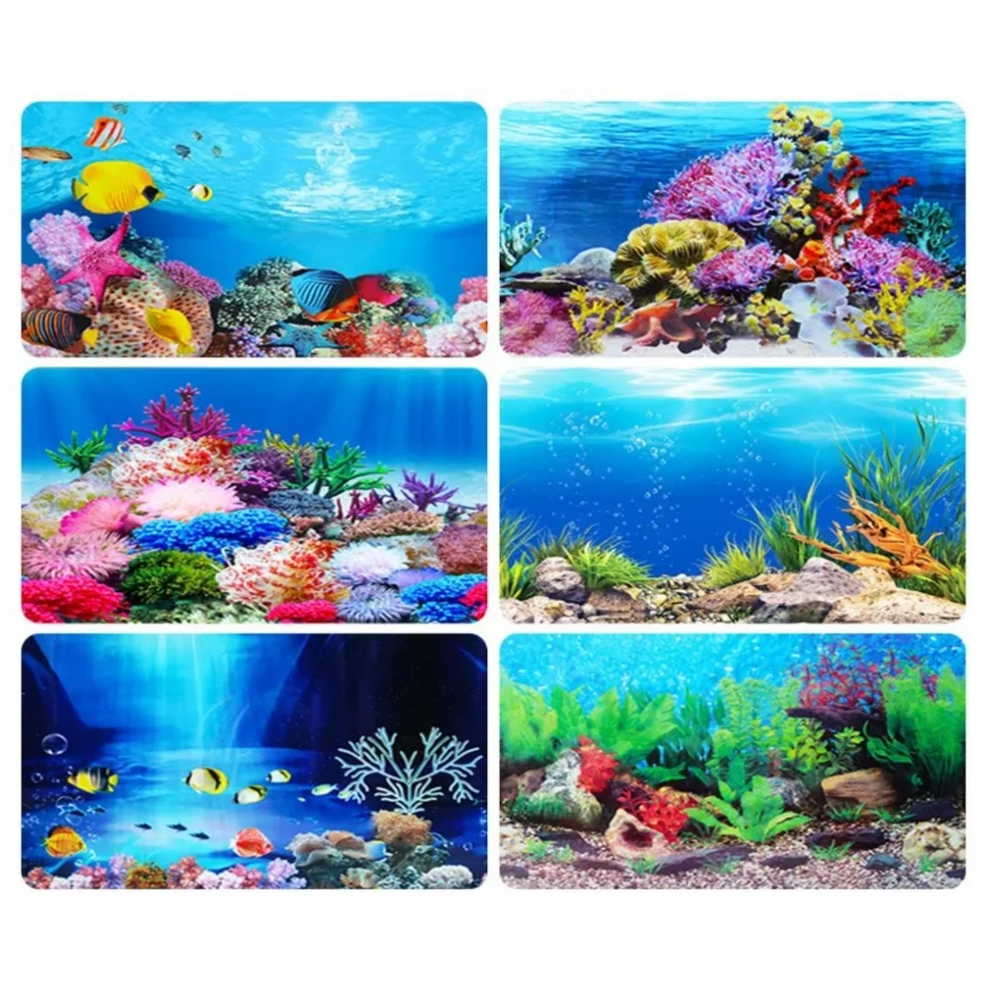 Background Aquarium 3D Sticker - Aquarium Fish Cichlid review and price
