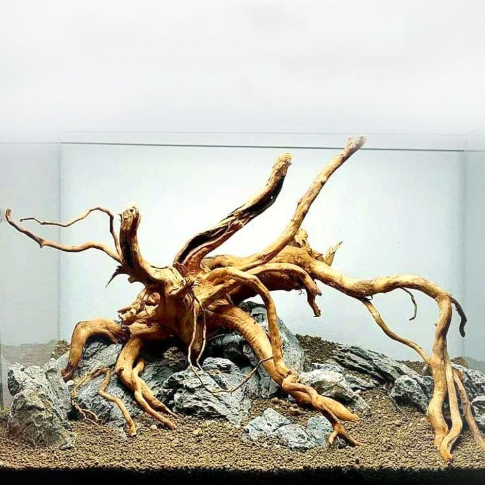 Natural Tree Trunk Aquarium De - Aquarium Fish Cichlid review and price