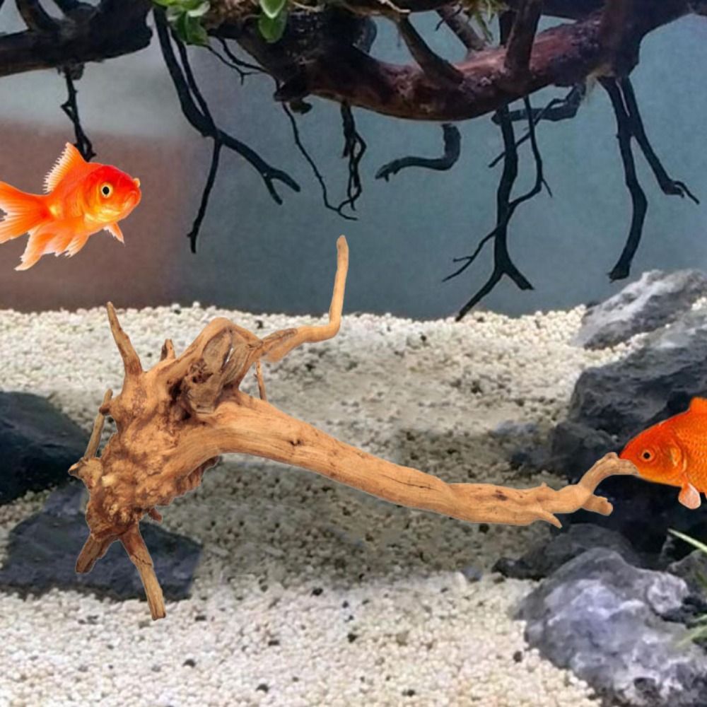 Natural Tree Trunk Aquarium De - Aquarium Fish Cichlid review and price