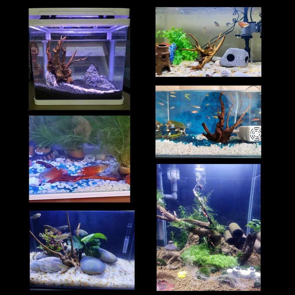 Natural Tree Trunk Aquarium De - Aquarium Fish Cichlid review and price