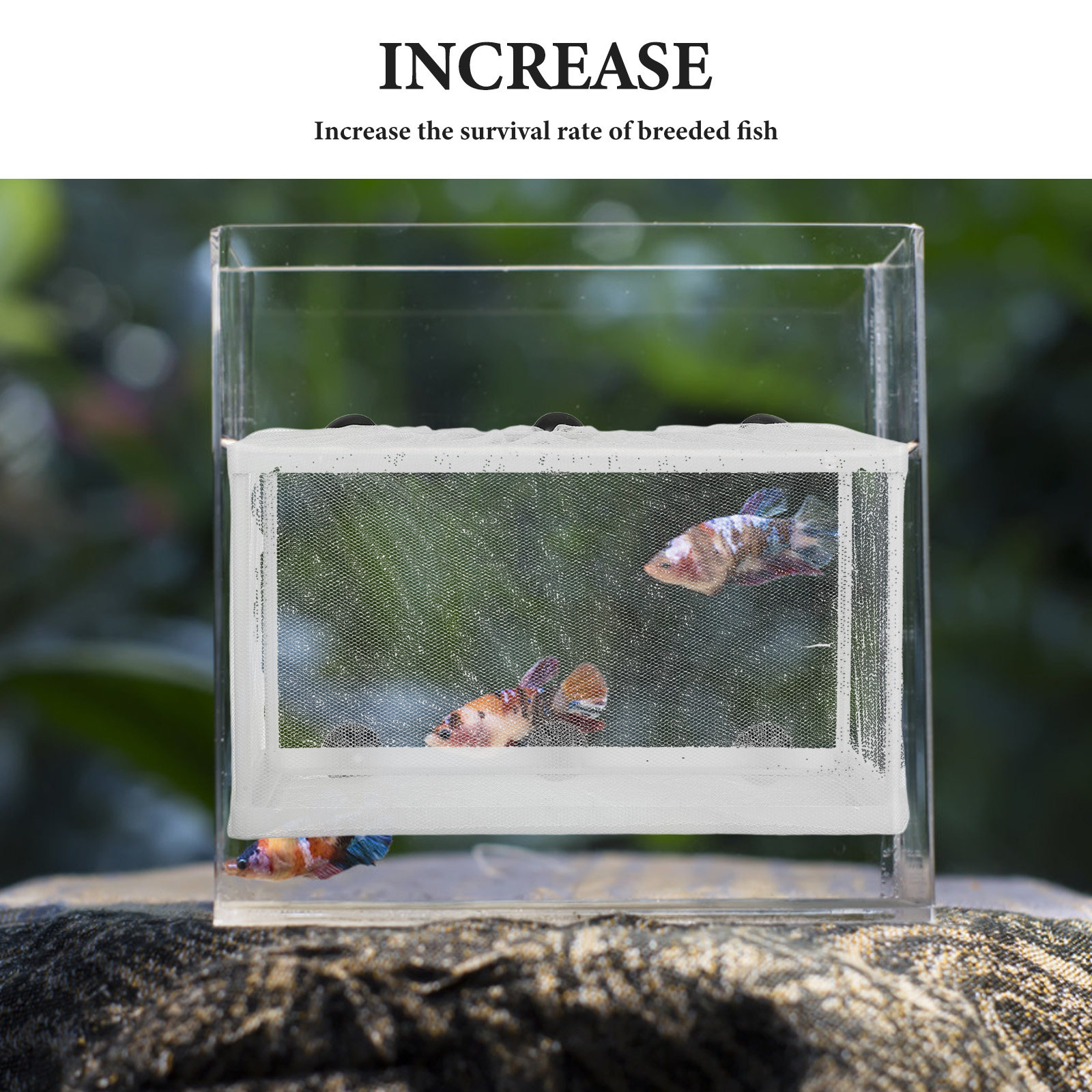 Fish Box Big Size Polyester Fr - Aquarium Fish Net Big Size review and price