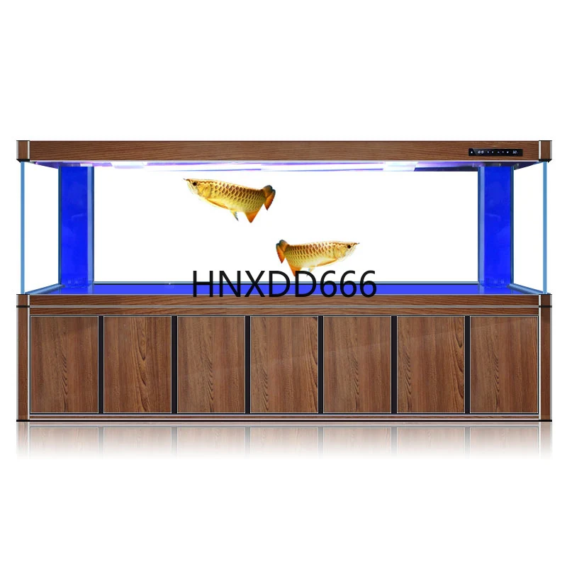 Large golden dragon fish tank  - Aquarium Fish Dragon review and price