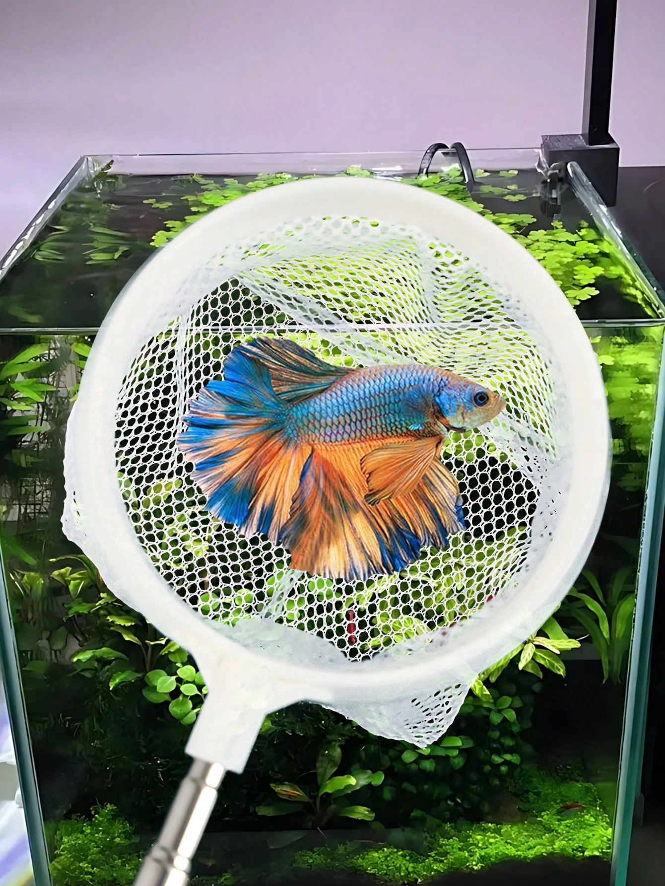 Aquarium Fish Net - a Retracta - Aquarium Fish Net review and price