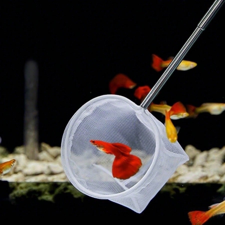 Aquarium Fish Net - a Retracta - Aquarium Fish Net review and price