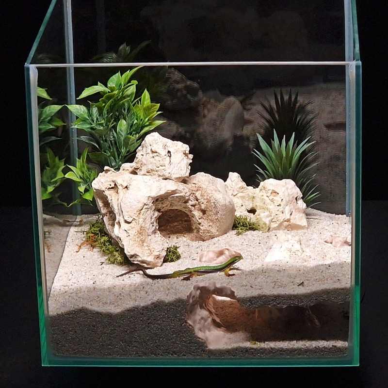 3DPrinted Fish Tank Tunnel She - Aquarium Fish Hide review and price