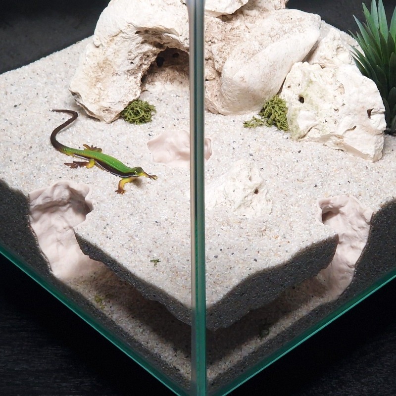 3DPrinted Fish Tank Tunnel She - Aquarium Fish Hide review and price