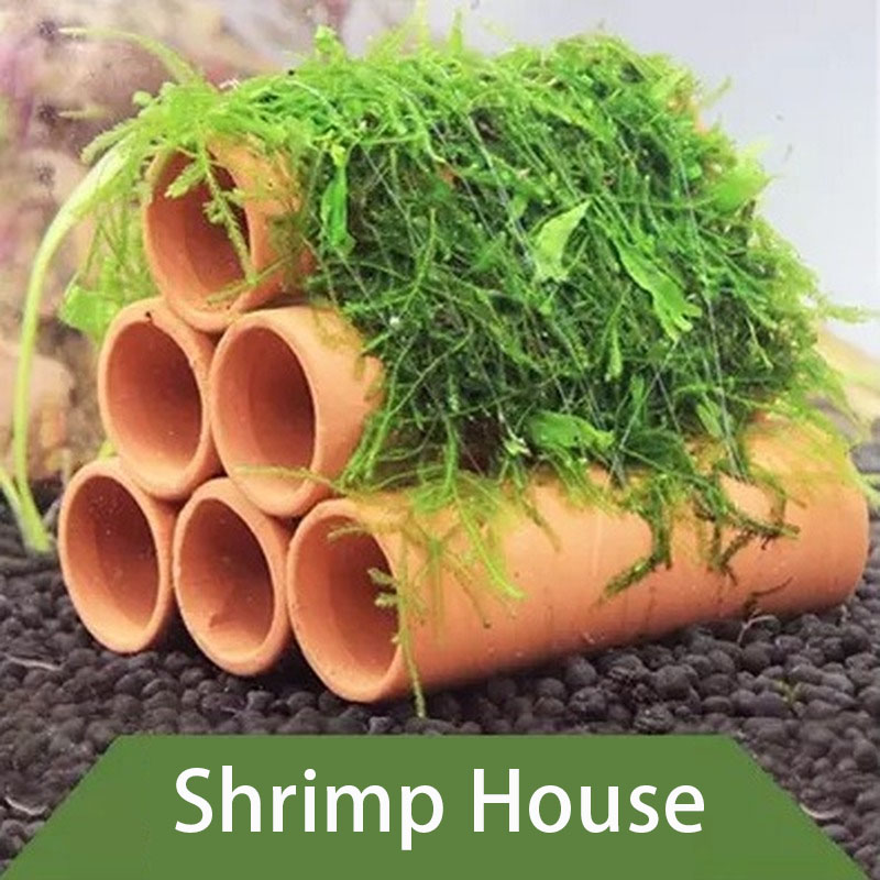 Clay Aquarium Decoration Fish  - Aquarium Fish Hide review and price